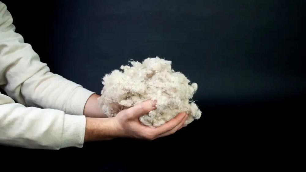Изобретено первое в мире волокно из отходов картофеля