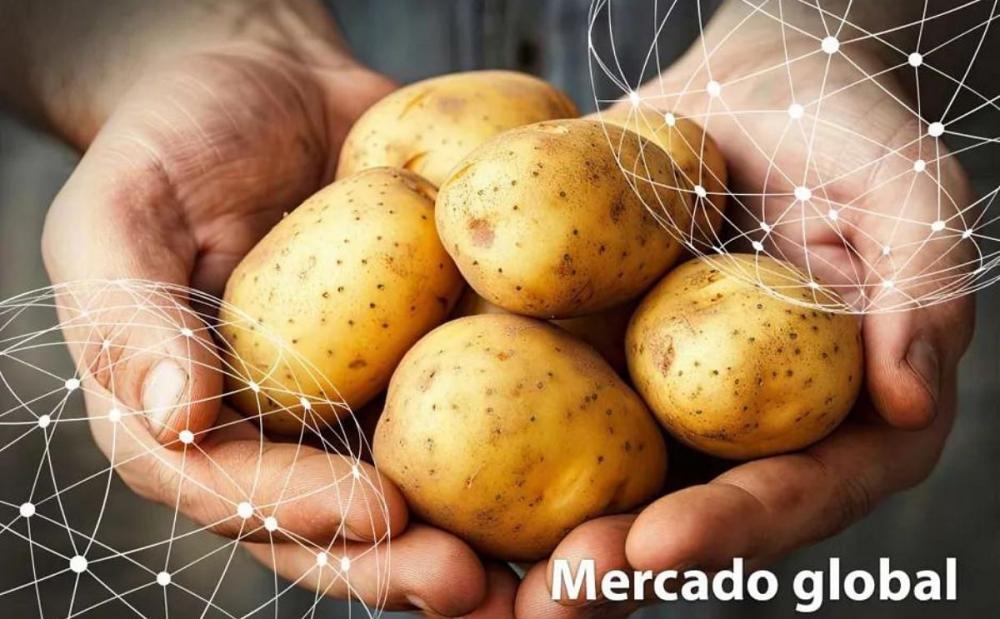 Мир: климат и картофель