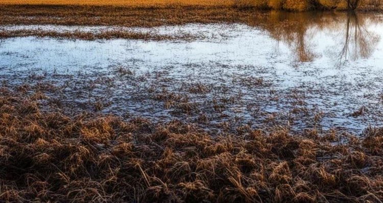 Небесный библейский потоп на днях смыл напрочь свежезасеянные поля в Великобритании