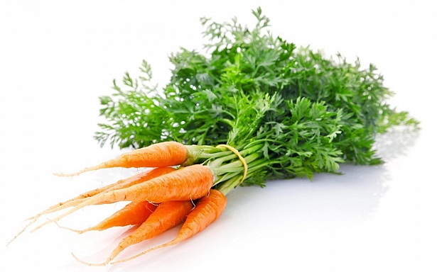 Морковь | НПО Агросс - Качество во всем. 